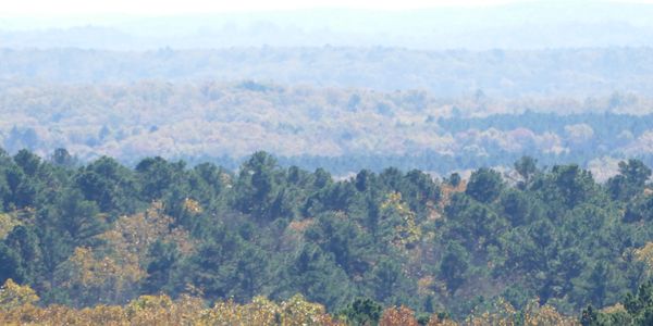  scenic forested rolling hills of the Ozarks