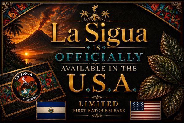 La Sigua coffee now available in the USA with a limited first batch release.