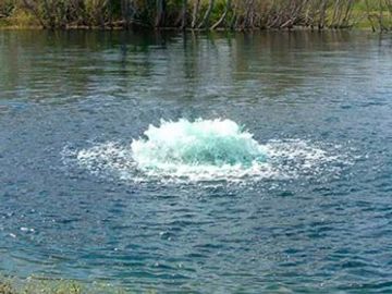 Overton Fisheries - Kasco 2400AF - Surface Aerator