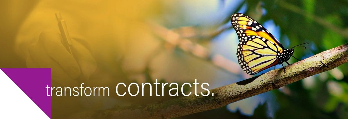Transform contracts