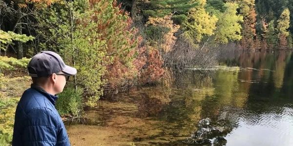 fall color foliage beautiful kitty isnald cottage rental