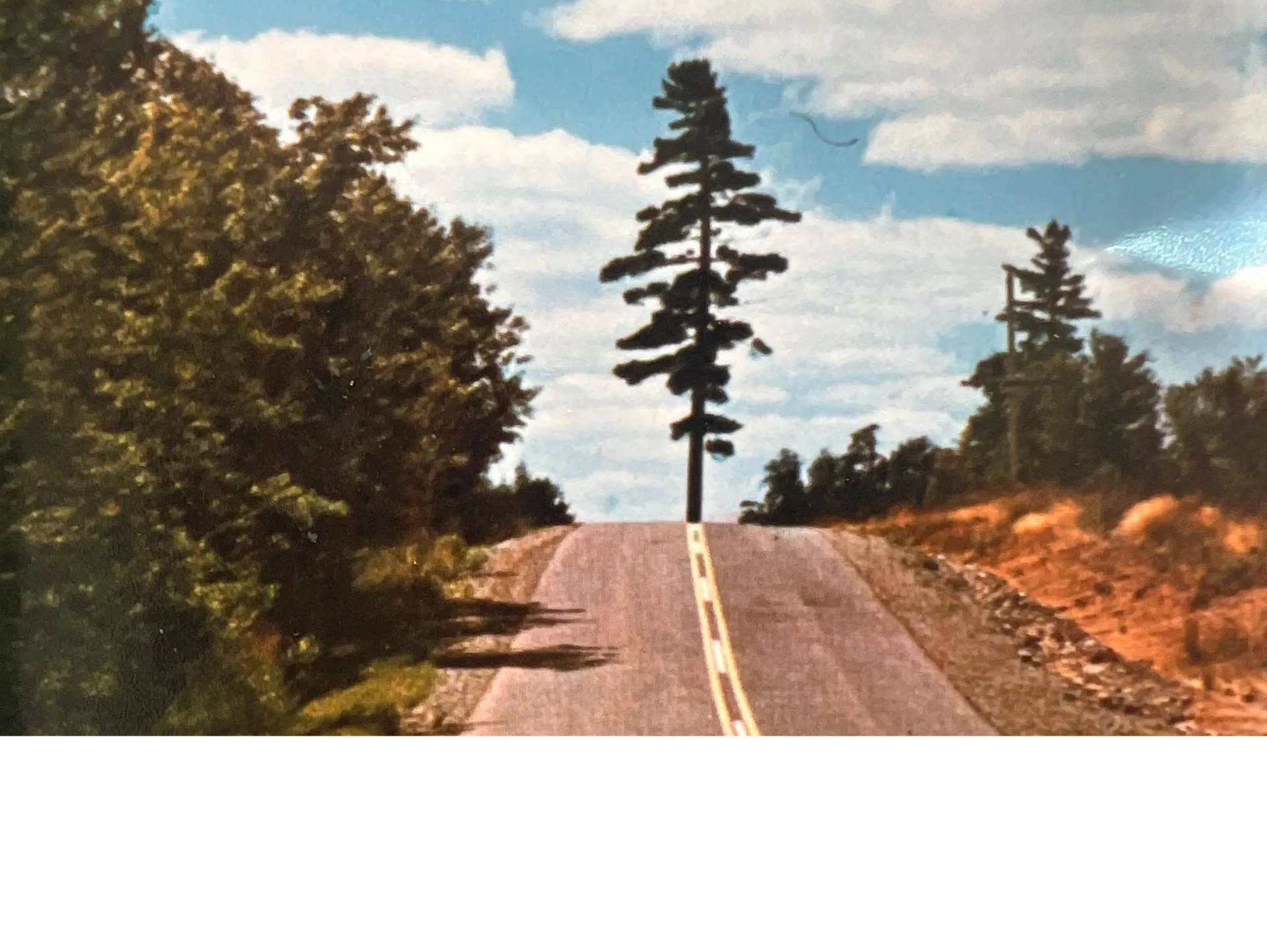 The Tree In The Middle Of the Road can be found in Cisco Lake Road South Just off US2.