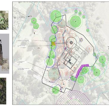 Arboricultural Impact Plan, Tree Protection Plan, Tree Locations Plan, Tree Survey,