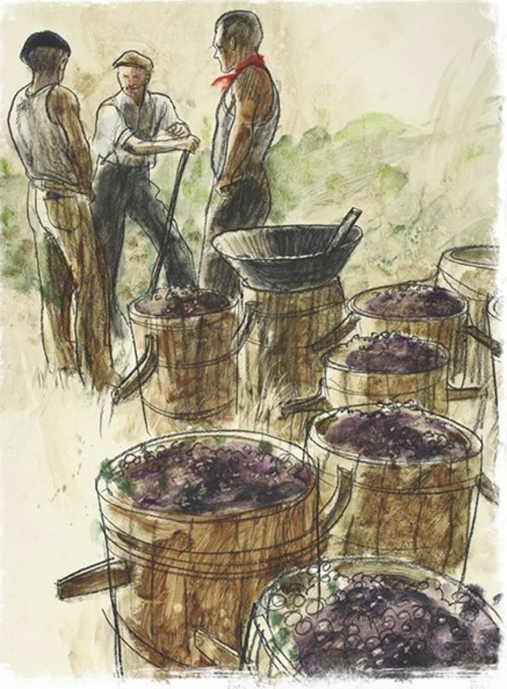 image319
