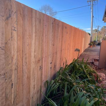 Timber paling fence