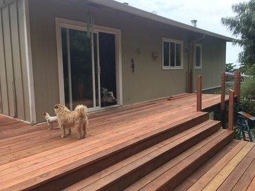 Custom designed patio for low overhang and dog access.