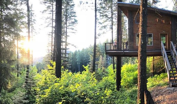 Late afternoon at the treehouse