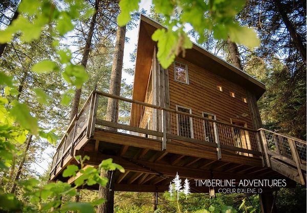 view of a Treehouse from below