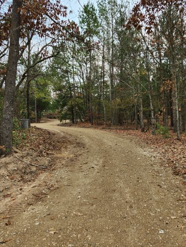 Driveway transformation after, crushed concrete, brush removal