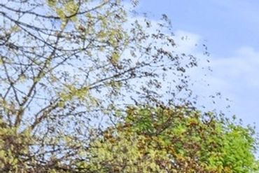 Needmore Pennsylvainia Real estate agent listing agent listing agents real estate services realtor