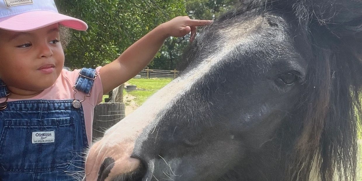 A young child gently touches a black and white horse's mane outdoors.