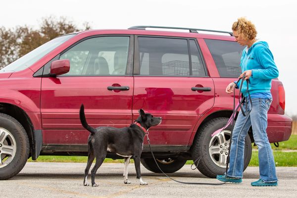 Eli and Paula doing Nosework at a NACSW trial.