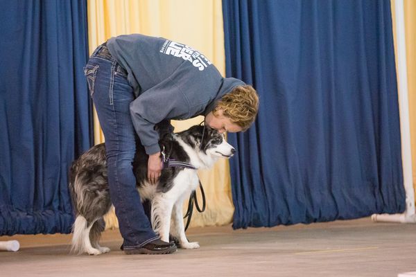 Paula and Kylee’s bond at a UKC Nosework trial.