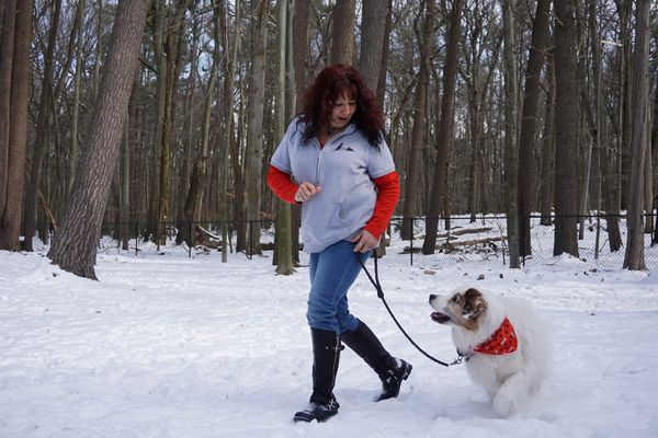 Jodi and Odin practicing loose leash walking skills and rally utilizing positive reinforcement.