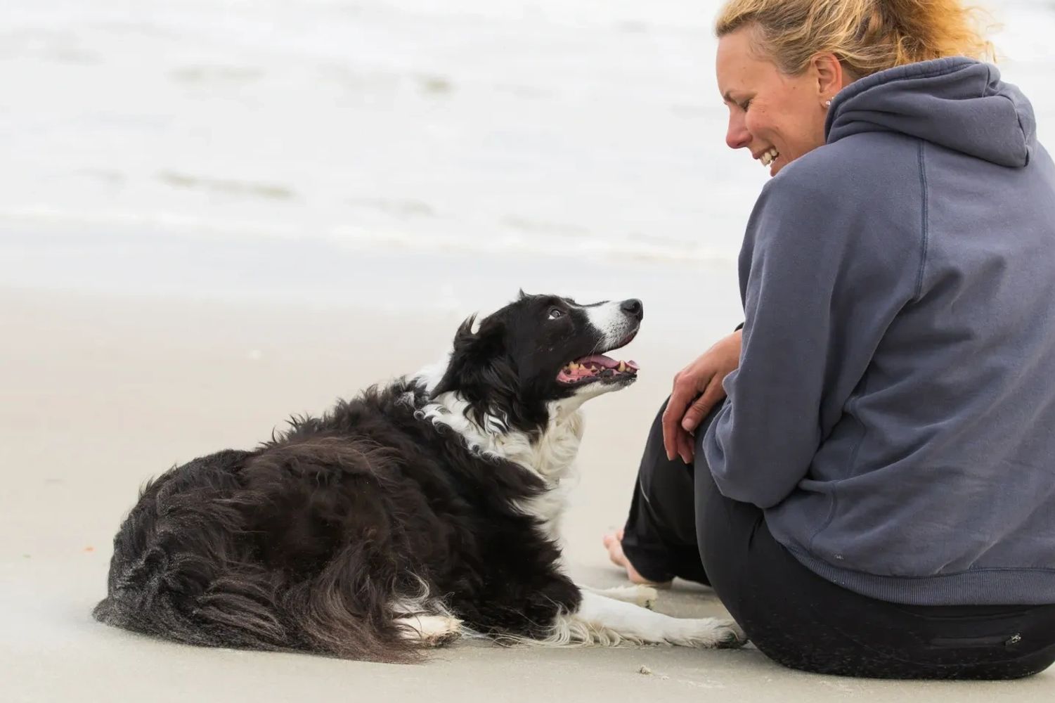 Trainer and Pepper relax at beach after agility