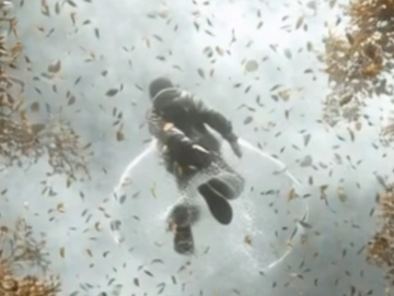 Collectors Edition bonus trac