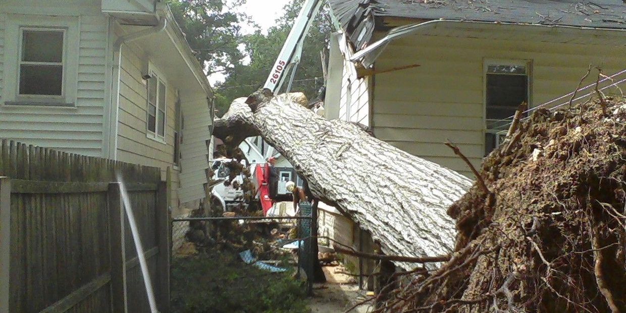 Emergency tree service job in Edison, nj.