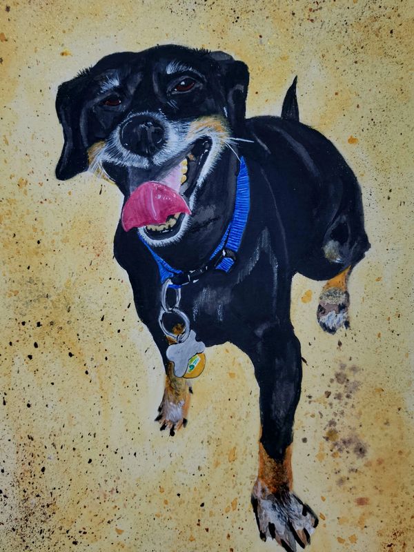 Cinnamon the Dachshund watercolor painting