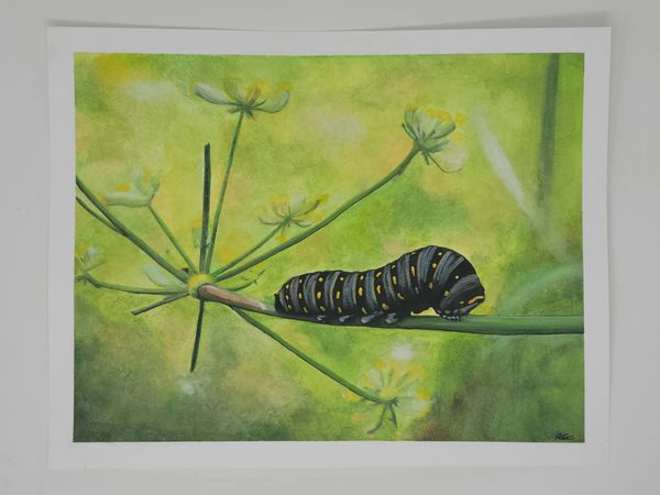 A Feast of Dill. Prints are available in the shop. Watercolor on cold press paper