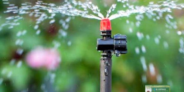 Drip Irrigation System
