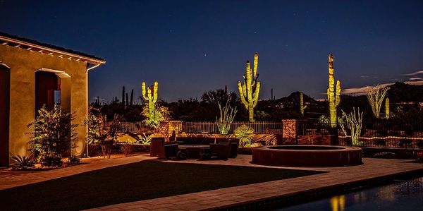 Beautiful Lights to enhance backyard