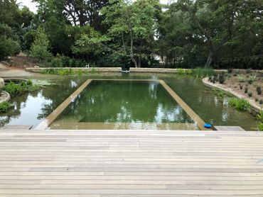 Cal Real Pools Pool Construction