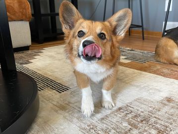 Charlotte's got the perfect balance of sweetnessπΎπ