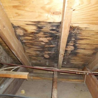 Vancouver Roof Leak Repair
