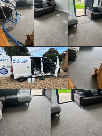 Carpet transformation in Pinchbeck, near Spalding treating browning and unpleasant odours