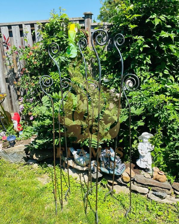 Decorative metal garden trellis in a backyard garden.