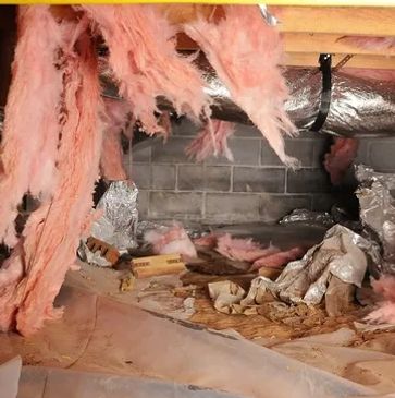 Damaged crawl space insulation.