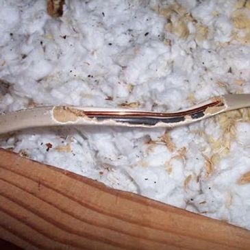 Rodent damage to wiring insulation.