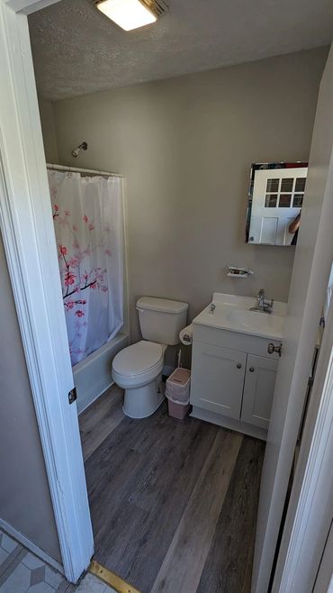 bathroom updates, flooring, painting, vanity