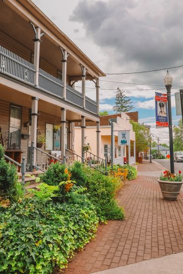 Charming small-town street with plants, shops, and cloudy sky.