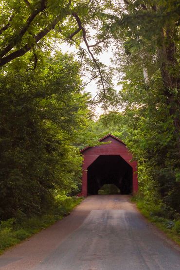 A red covered bridge surrounded by dense green trees on a quiet road.