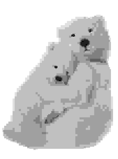 image13