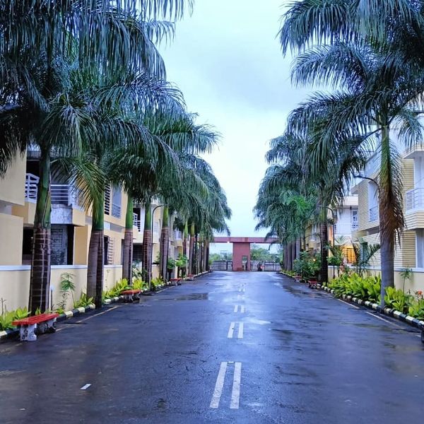 Palm trees lining a wet road between buildings.