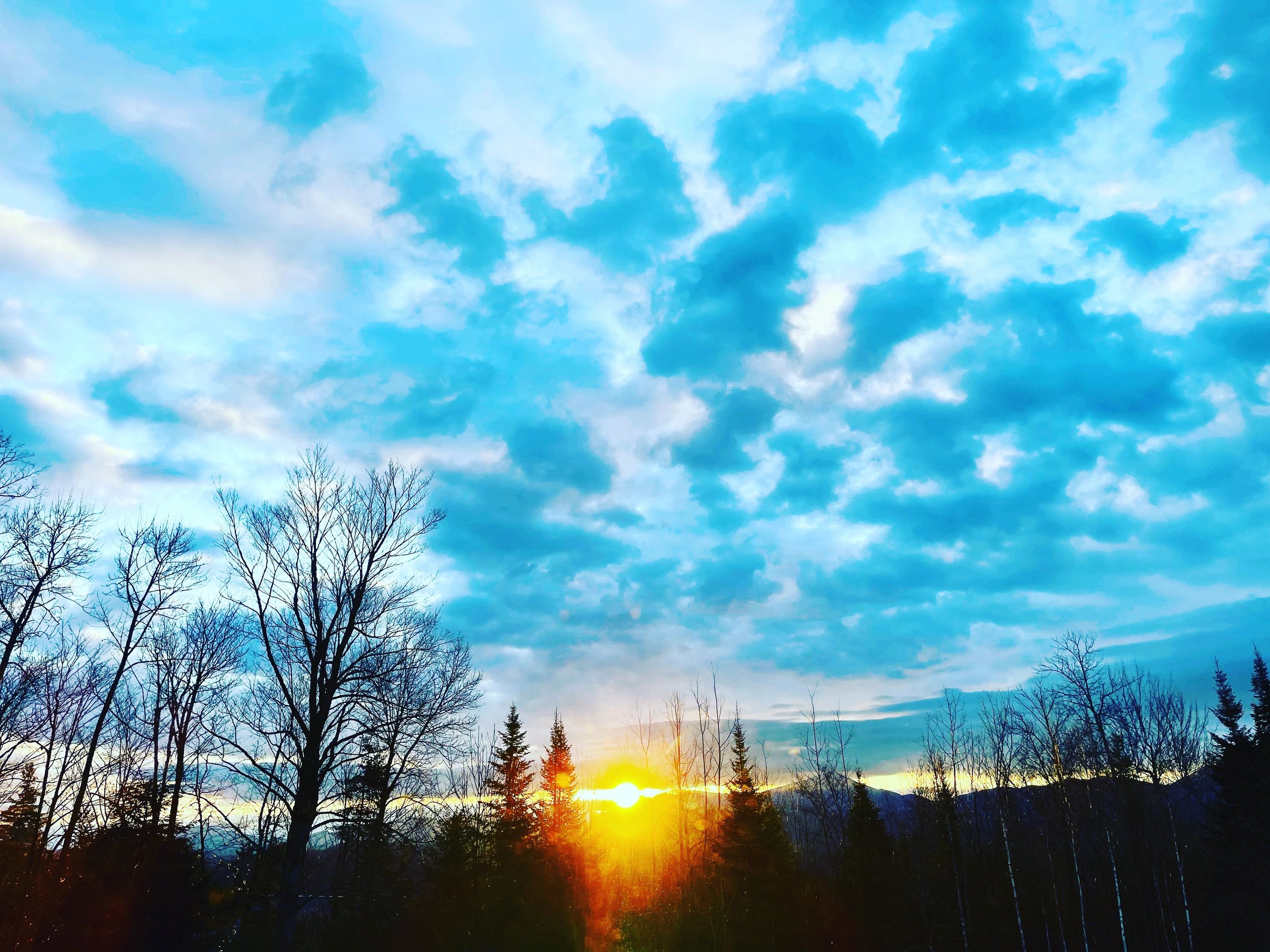 Sunrise Cabin View