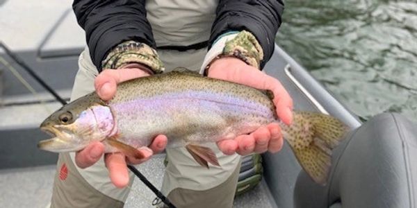 an image that represents skill development when fly fishing