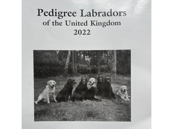 labrador retriever pedigree book of the united kingdom