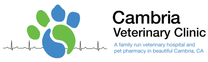 Cambria Veterinary Clinic