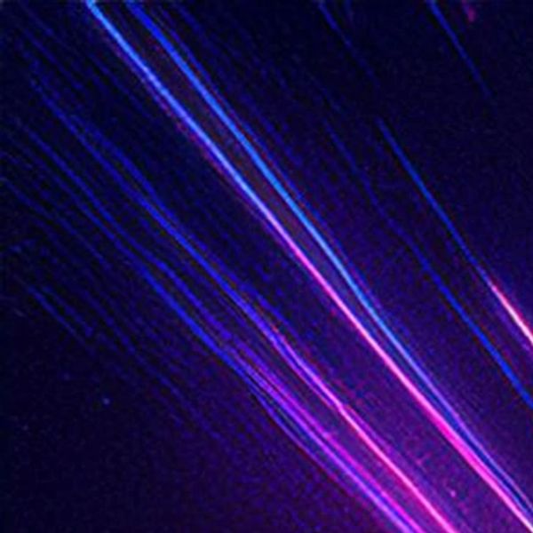 Cosmic Aliance - Awaken Minds Eye Electro Step Cover