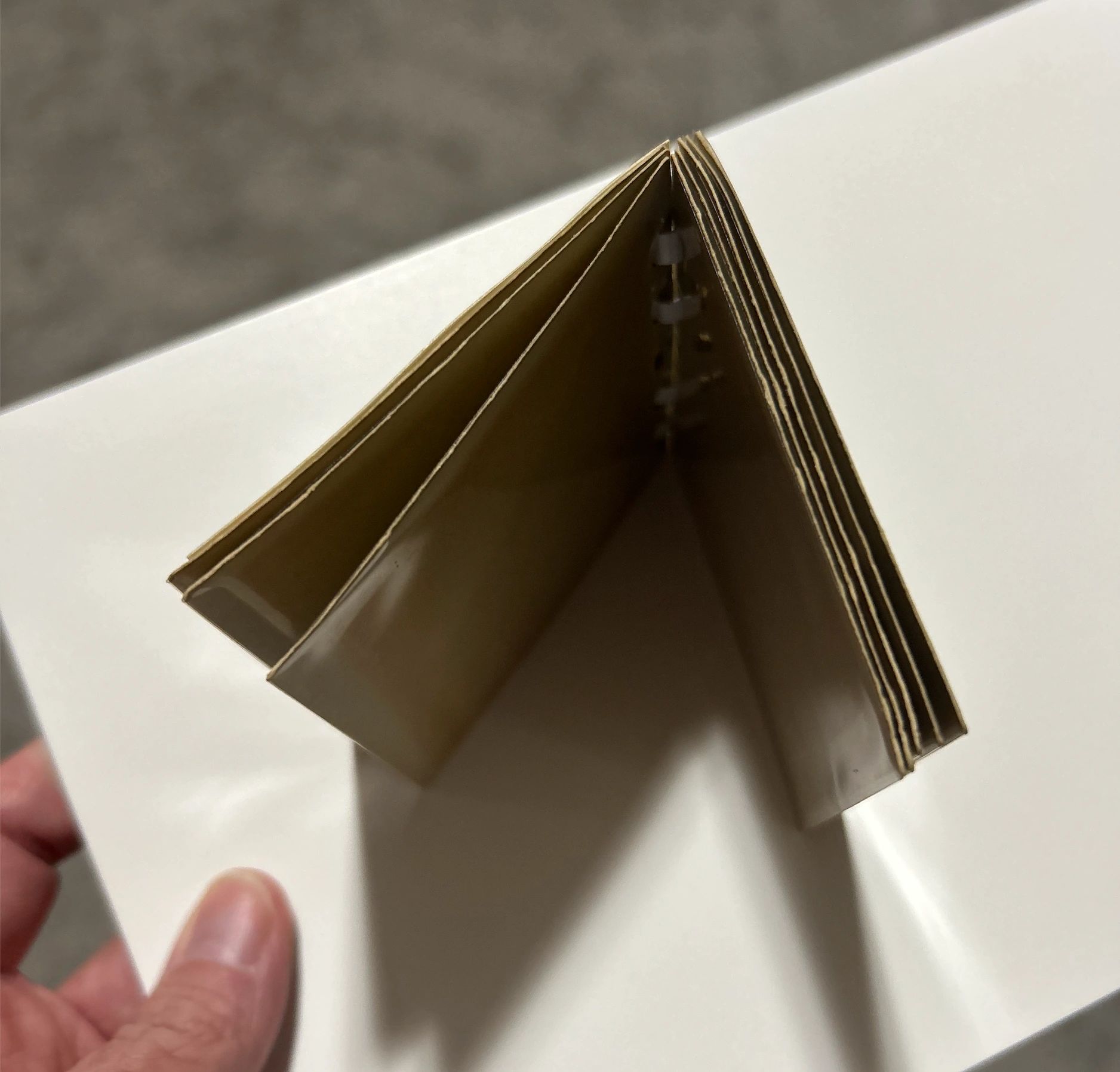 Inside of Royal Stars album (aeria. view)