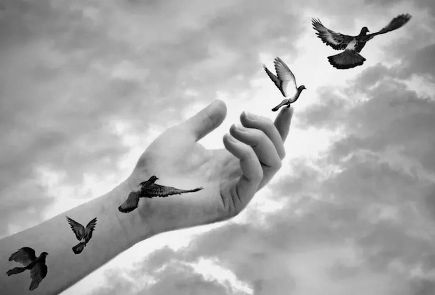 tattoo of bird on arm gradually moving until it becomes real and flies away