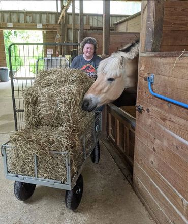 A person is standing behind a cart full of hay while a pony nuzzles the hay over the stall door.