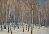 "Birch Grove" - Oil on canvas. 36 x 36 in