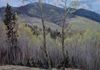 "Aspen Vista. New Mexico." - Oil on masonite. 14 x 18 in