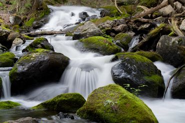 A serene stream flowing over moss-covered rocks in a forest.