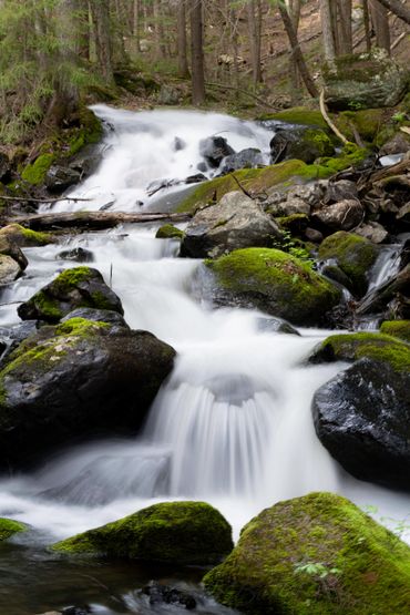 A serene waterfall flowing over moss-covered rocks in a forest.