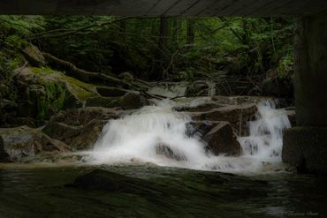 Small cascading waterfall flowing over rocks in a forest.